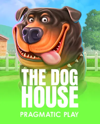 Casino Spiel bei Wyns Casino